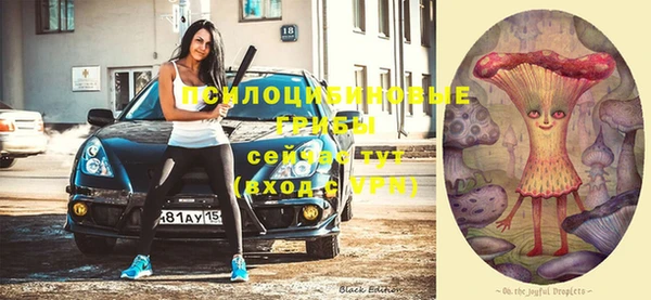 герыч Бородино