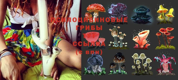 герыч Бородино